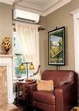 Pictures of Ductless Heat Pump Systems