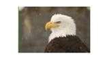Heat Pumps Oregon City Pictures Heat Pumps Oregon City Pictures