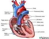 Pictures of Heat Pump Its Flow Diagram