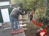 Pictures of Bivalent Heat Pumps
