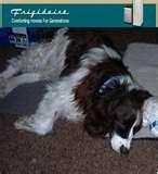 Photos of Gibson Heat Pumps Reviews