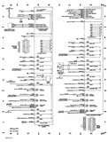Pictures of Heat Pumps Wiring Diagram
