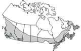 Heat Pump Ottawa Canada