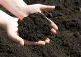 Garden Seeder India Images