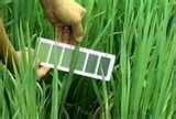 Pictures of Garden Seeder India