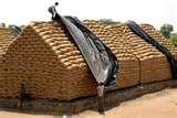 Garden Seeder India Photos