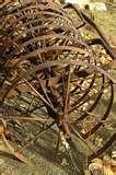 Photos of Garden Seeder Antique
